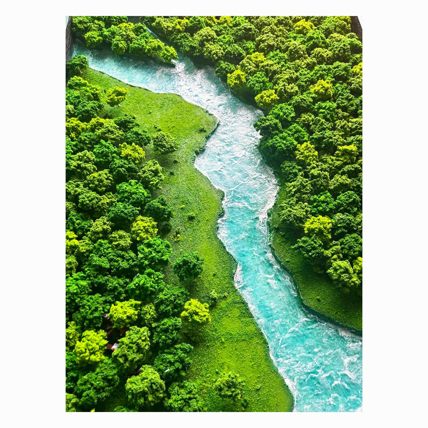 Rio Sucuri - MS - Imagem 3