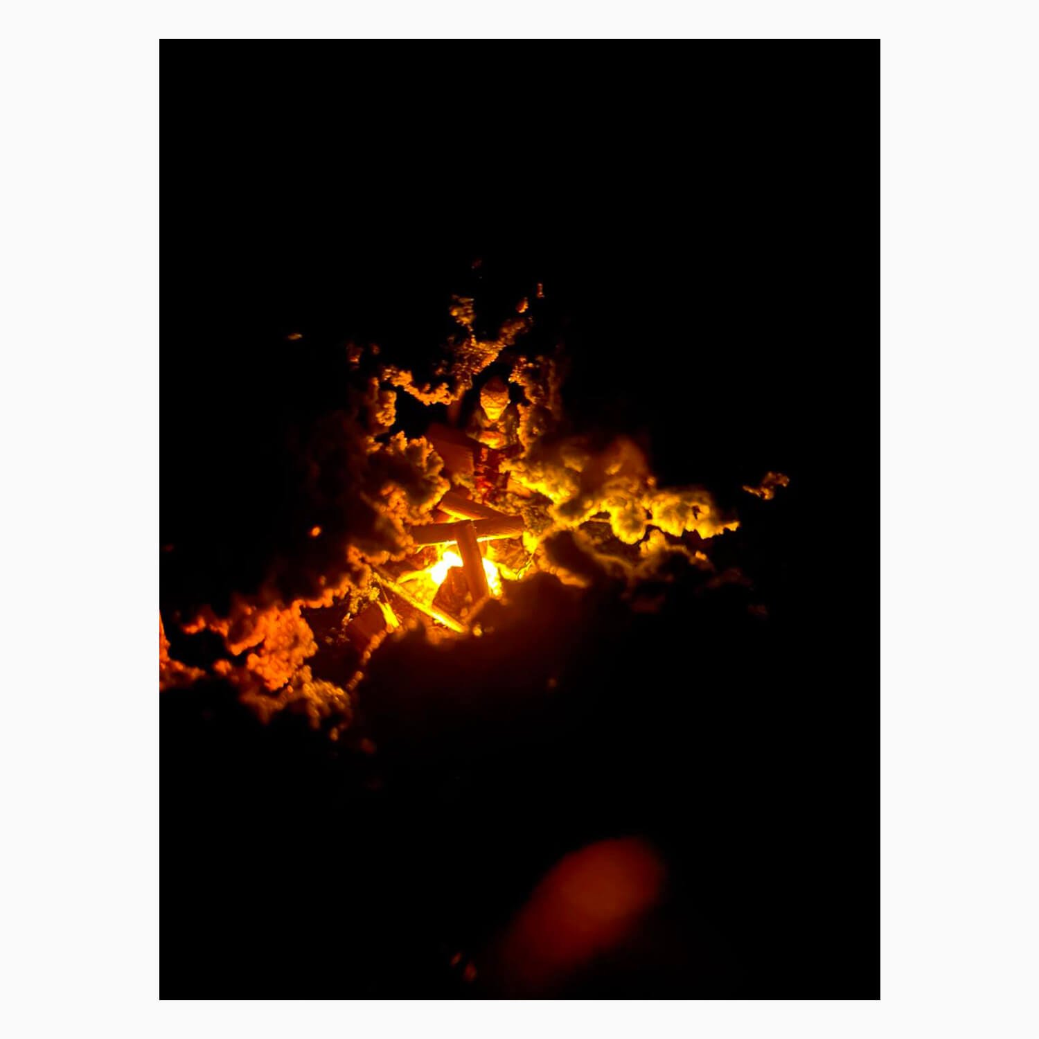 Rio Sucuri - MS - Imagem 4